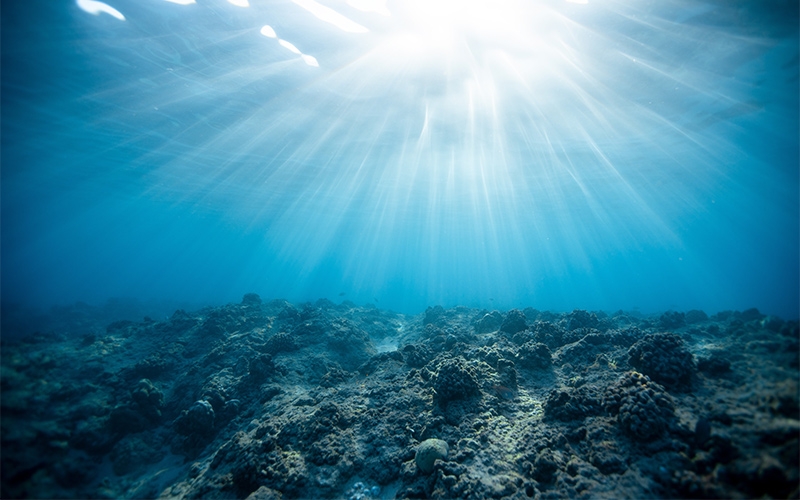 沉船沉物打撈服務(wù)